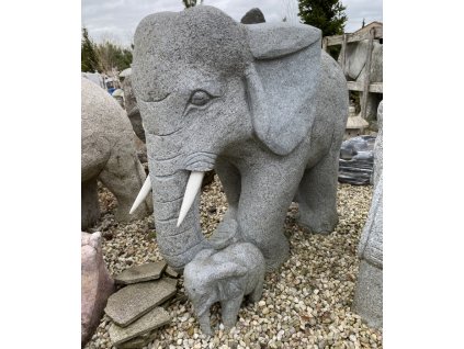 5190 8890 slon s mladatkem