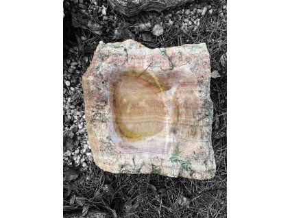 Photoroom 20260213 144157