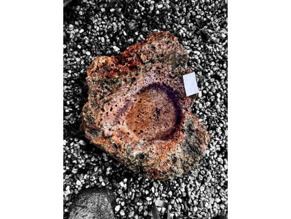 Photoroom 20260213 143553