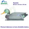 1827 4142 mallard duck drake