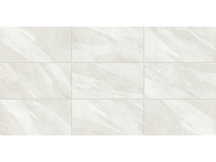 SV ETHOS LEUCOS 60x120