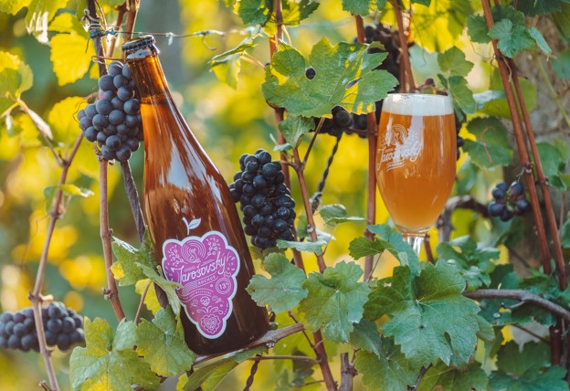 Pivní speciál se šťávou z hroznů v prodeji