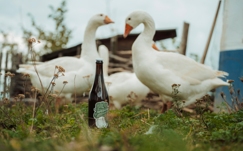 Chmelová brigáda za námi: chystáme pivo z čerstvého chmele
