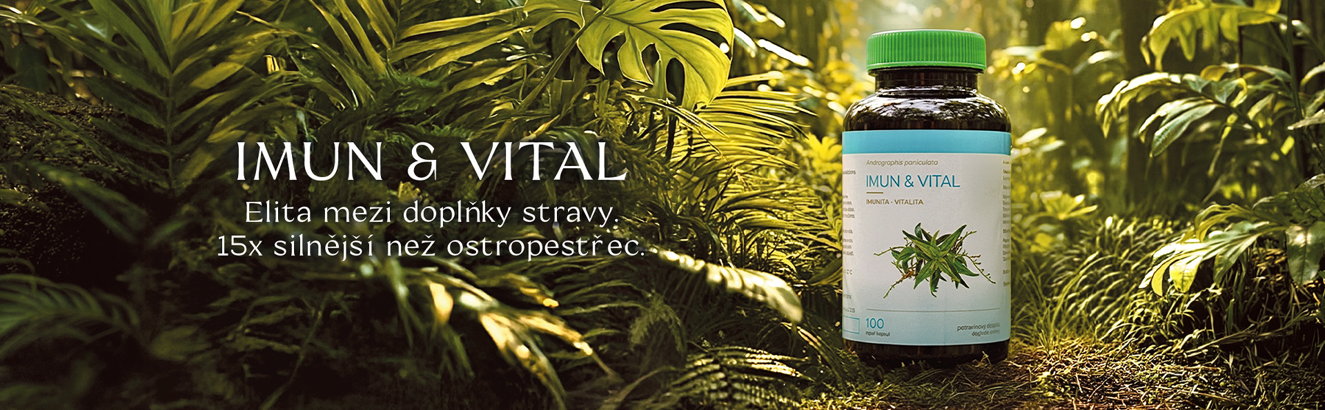 Carousel 1 - IMUN & VITAL