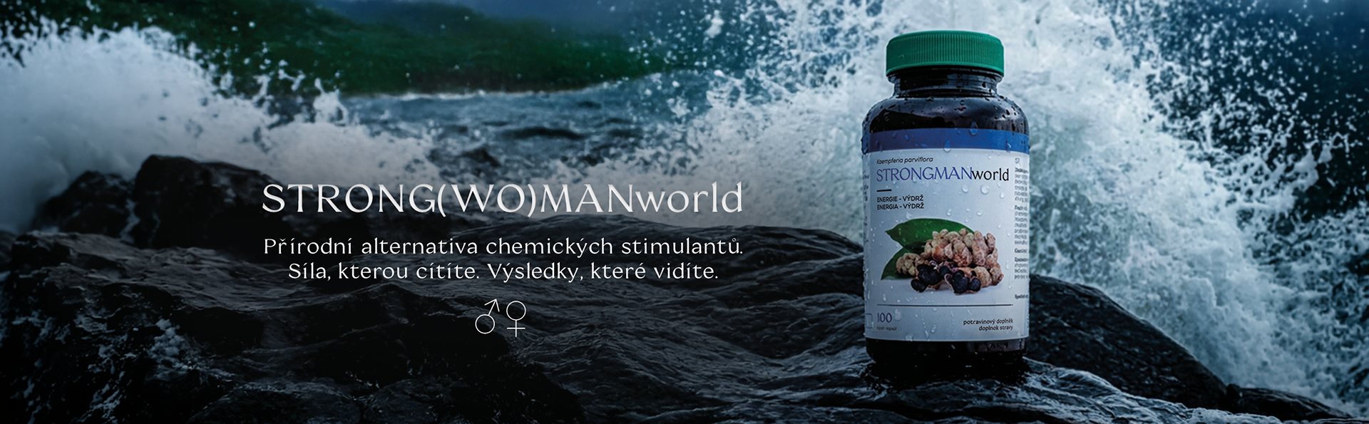 Carousel 3 - STRONGMANworld