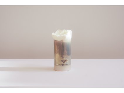 panak r sedina blue1 10 25 jarryg.cz