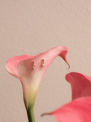 N O V I N KY @jarrygstore i online na jarryg.cz