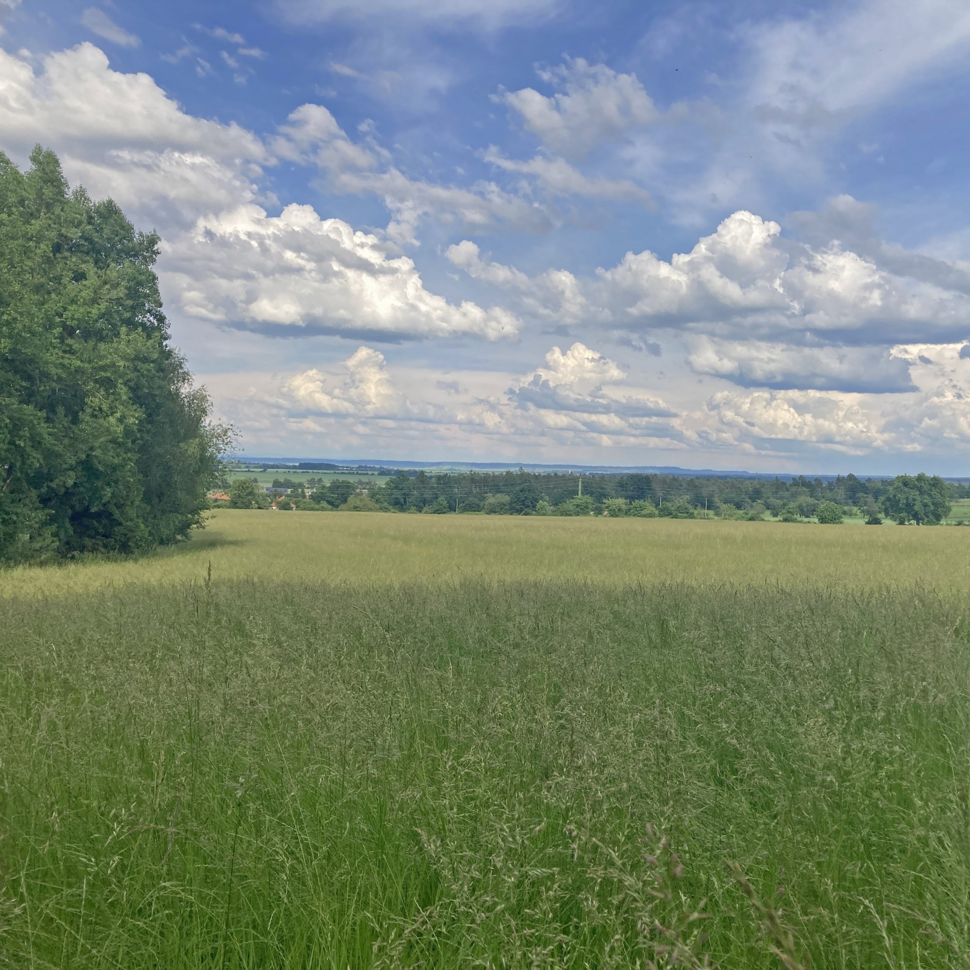 JáSám v květnu a červnu
