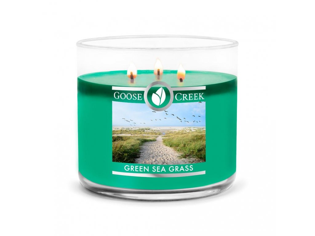 Green Sea Grass 3 wick Candle 1024x1024