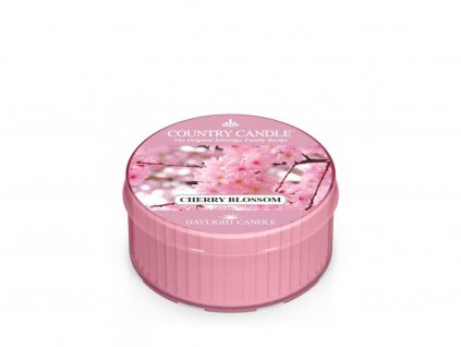 Country Candle Vonná Svíčka Cherry Blossom, 35 g