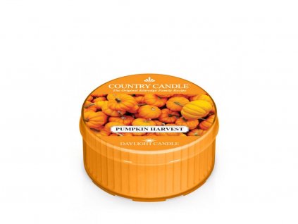 Country Candle Vonná Svíčka Pumpkin Harvest, 35 g