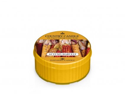 Country Candle Vonná Svíčka Autumn Harvest, 35 g