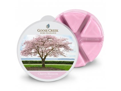 Goose Creek Candle Vonný Vosk Třešňový květ - Cherry Blossom, 59 g