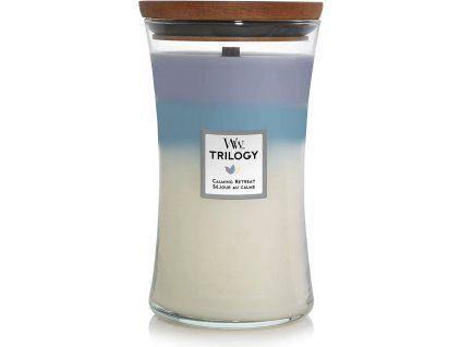 3f312b69 940d 4834 9d87 27395e0d3773