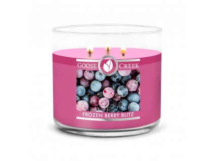 Frozen Berry Blitz Large 3 Wick Candle 1024x1024