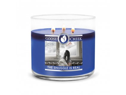 The Snuggle Is Real 3 Wick Candle 1024x1024