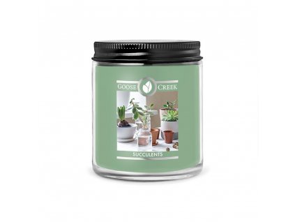 Succulents 7oz Candle 1024x1024