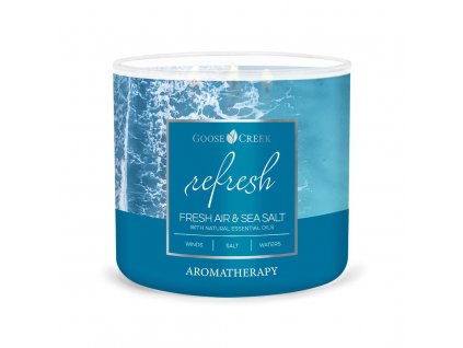 fresh air sea salt refresh 3 docht kerze 411g