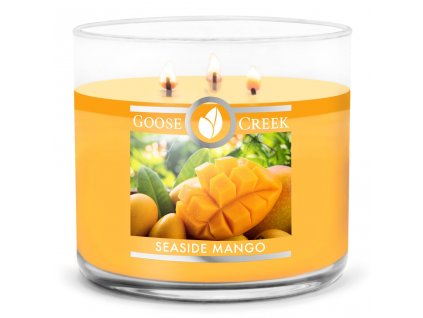 Seaside Mango Large 3 Wick Candle 1024x1024