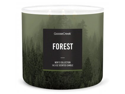 Forest Large 3 Wick Candle