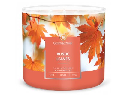 Rustic Leaves 3 Wick Large Candle 1024x1024