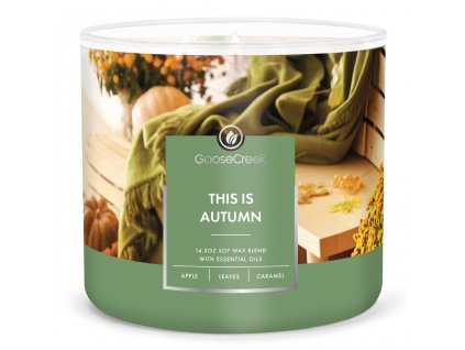 This is Autumn 3 Wick Large Candle 1024x1024