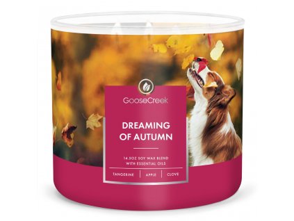 Dreaming of Autumn 3 Wick Large Candle 1024x1024