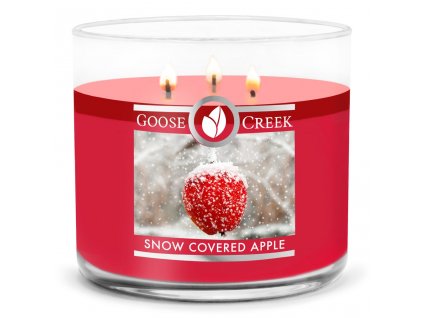 Snow Covered Apple 3WR 1024x1024