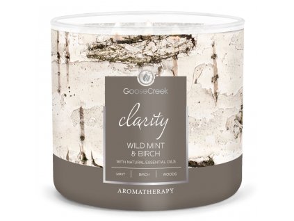 wild mint and birch aromatherapy 3 wick candle goose creek candle 1024x1024