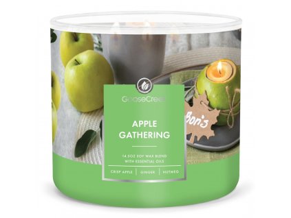 apple gathering 3 docht kerze 411g