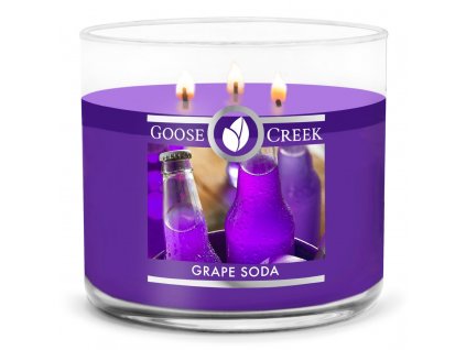 grape soda 3 docht kerze 411g