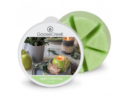 apple gathering wax melt goose creek candle 1024x1024 (1)