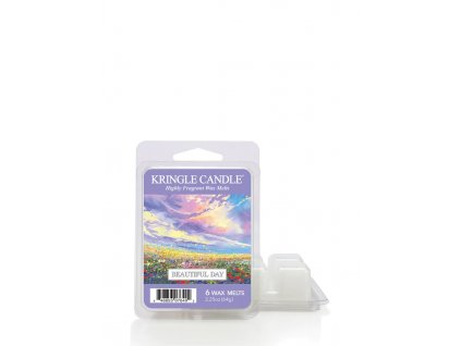 KC wax melt beautiful day 650x875 ad653234 a5f9 40e9 b38c e64630b06e3b 1000x