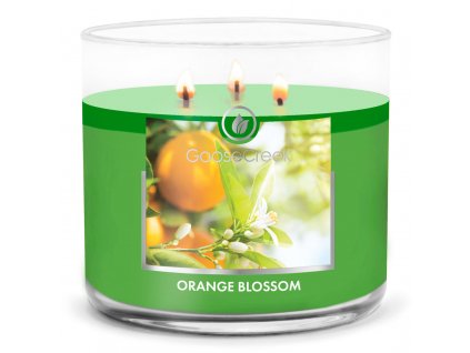orange blossom 3 docht kerze 411g