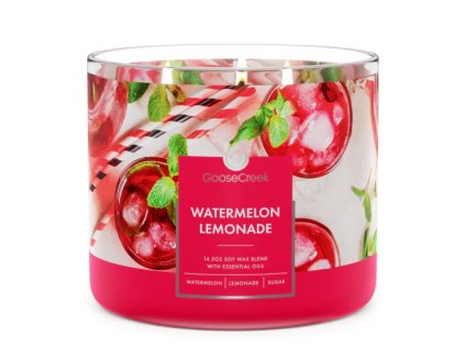 Watermelon Lemonade Large 3 Wick Candle 550x