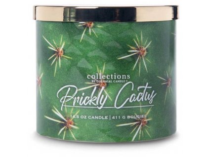 pol pl Colonial Candle Desert Collection sojowa swieca zapachowa w szkle 3 knoty 14 5 oz 411 g Prickly Cactus 10495 1