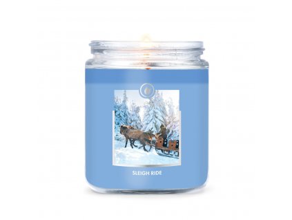 goose creek candle sleigh ride 1 docht kerze 198g