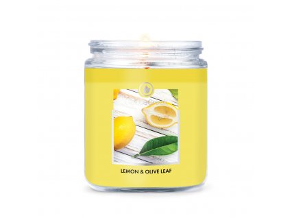 lemon olive leaf 1 docht kerze 198g