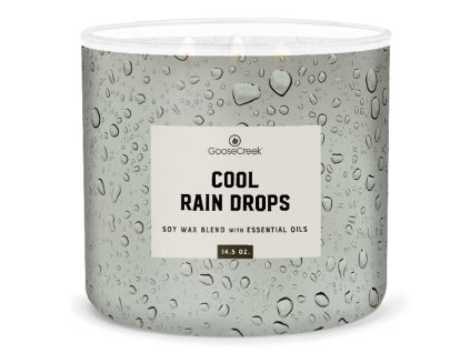 c0c82064cd4b828268d3630b4c5f4403