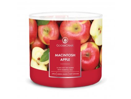 macintosh apple 3 docht kerze 411g