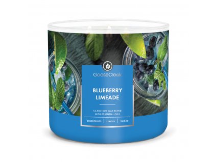 blueberry limeade 3 docht kerze 411g