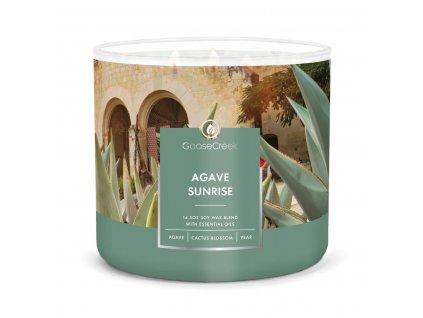 agave sunrise 3 docht kerze 411g