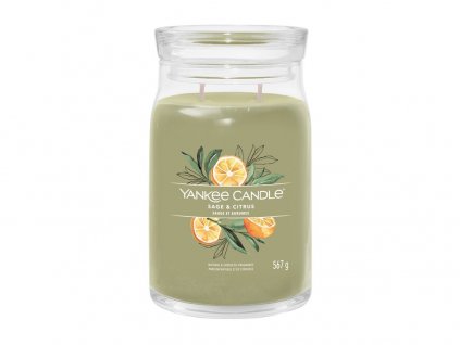 Yankee Candle Signature svíčka velká Sage & Citrus, 567g