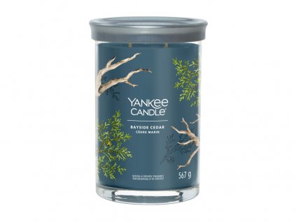 Yankee Candle svíčka Tumbler velký Bayside Cedar, 567g