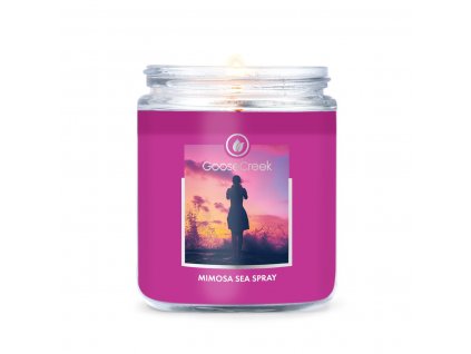 mimosa sea spray 1 docht kerze 198g