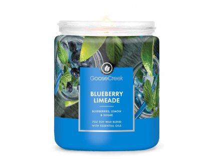 Blueberry Limeade 7oz Single Wick Candle