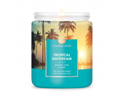 Tropical Daydream 7oz Single Wick Candle