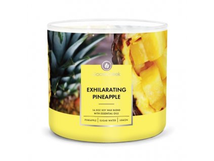 Goose Creek Exhilarating Pineapple 3 Docht GC15201