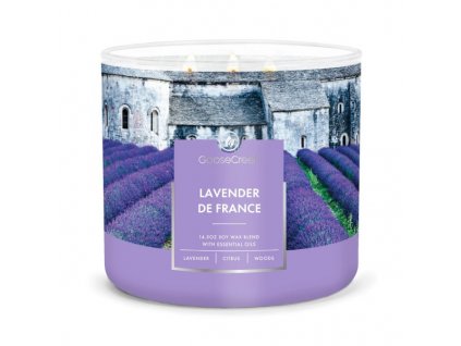 Goose Creek Lavender de France 3 Docht GC15494