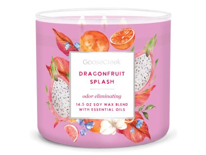 Odor Eliminating Dragonfruit Splash Large 3 Wick Candle